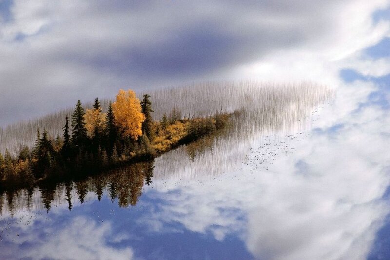Island with Autumn Trees — Blue