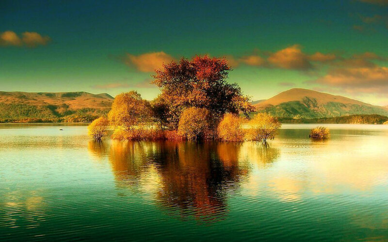 Island with Autumn Trees — Green
