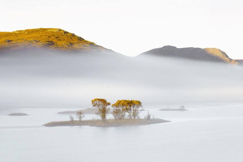 Island with Autumn Trees — White