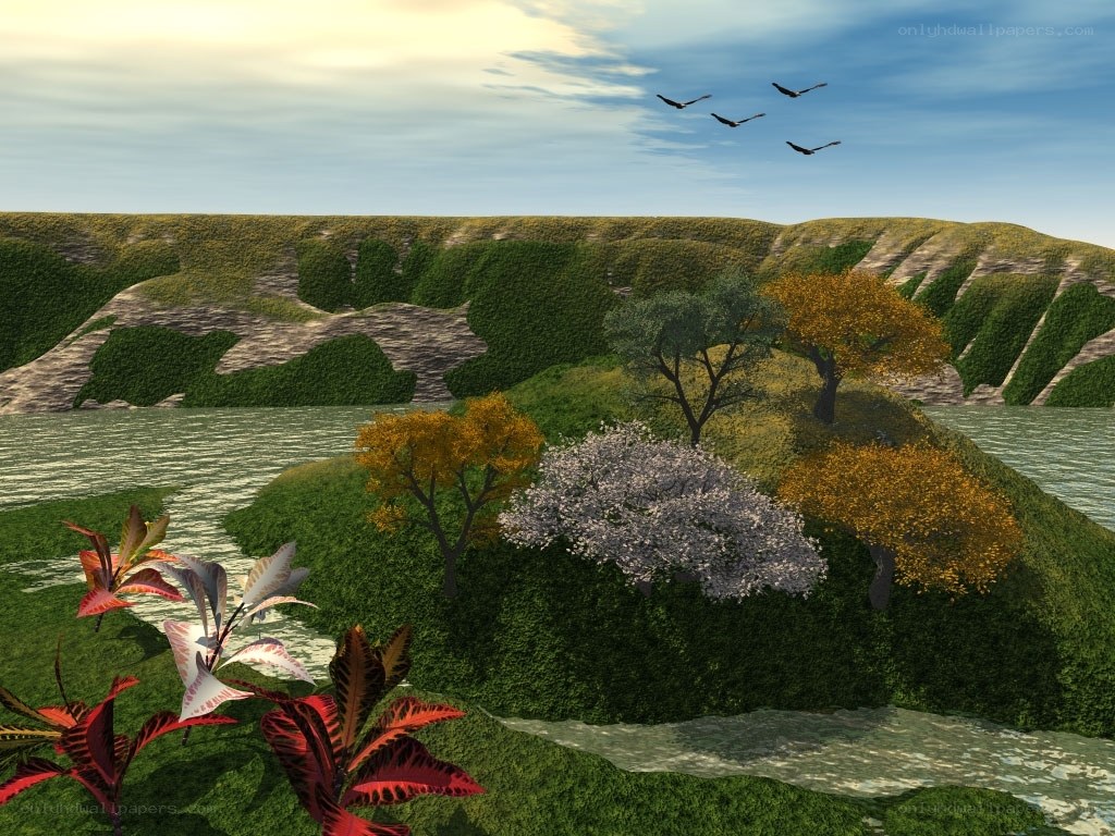 Island with autumn trees