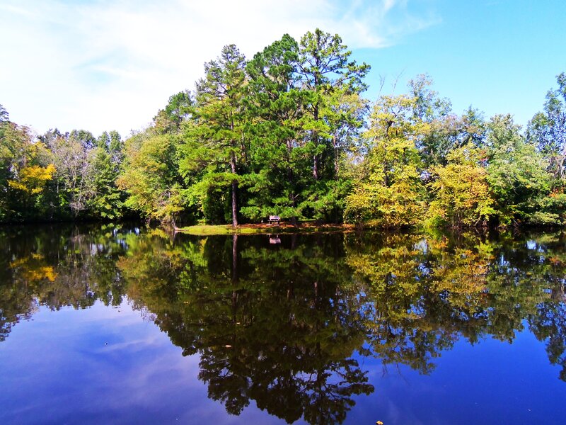 Island with Bench and Trees