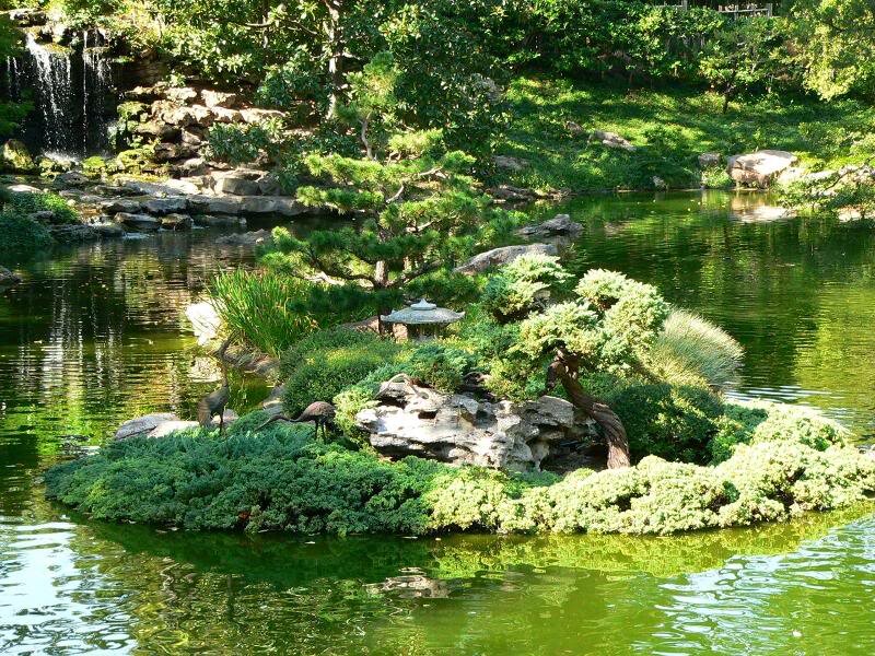 Island with Bonsai Trees