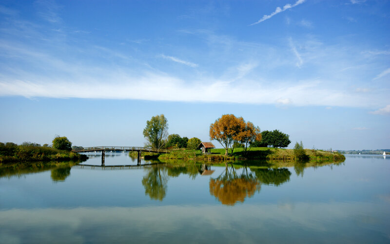 Island with bridge and trees