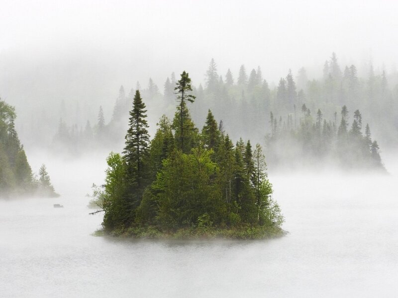 Island with Evergreen Trees — Green, Misty, Morning, Photograph
