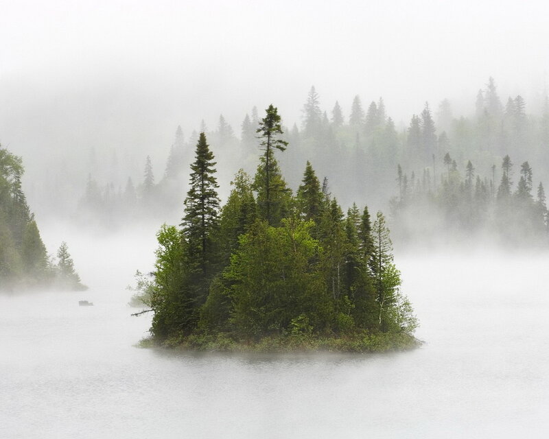 Island with Evergreen Trees