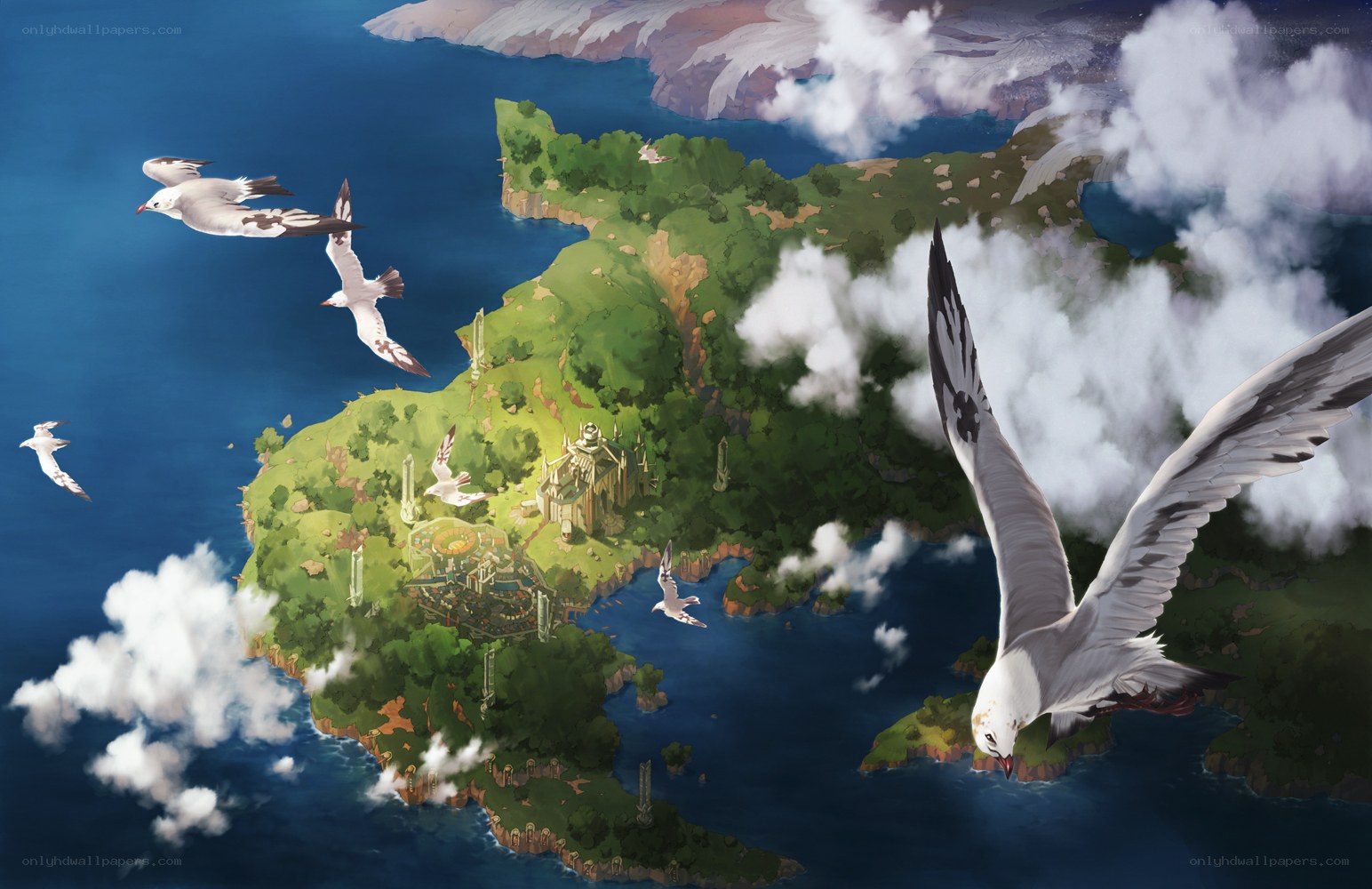Island with flying birds