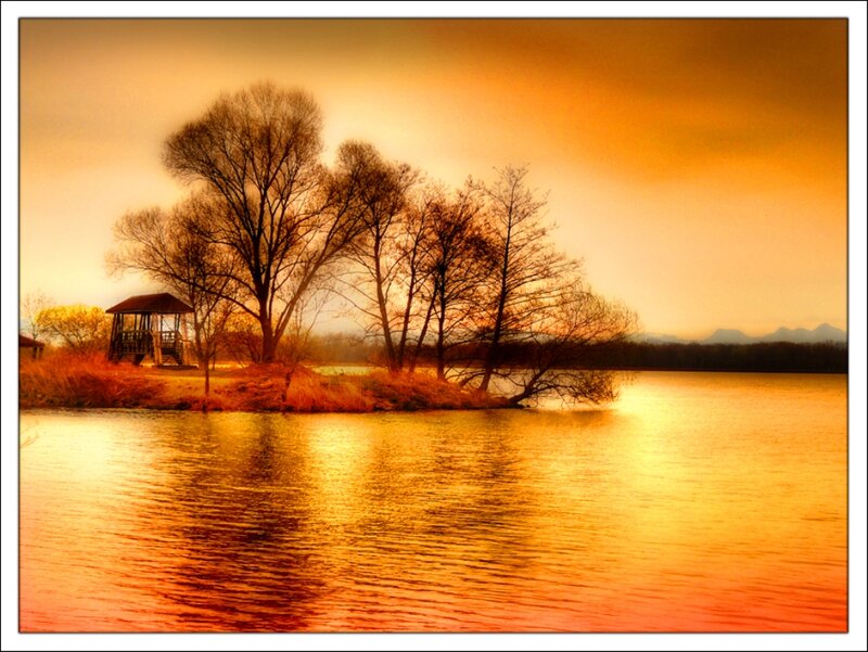 Island with Gazebo and Trees