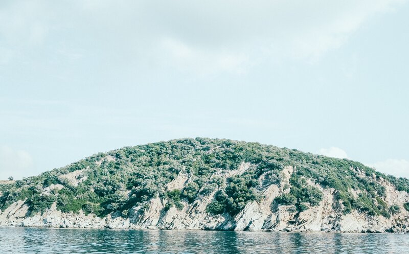 Island with green vegetation