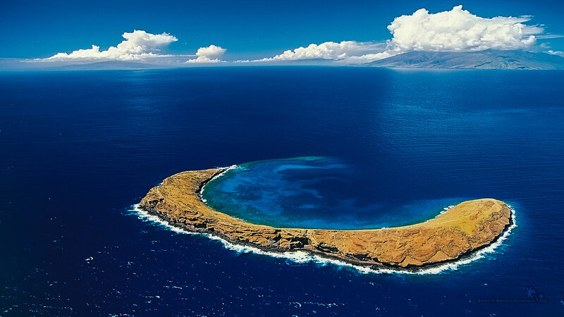 Island with Lagoon