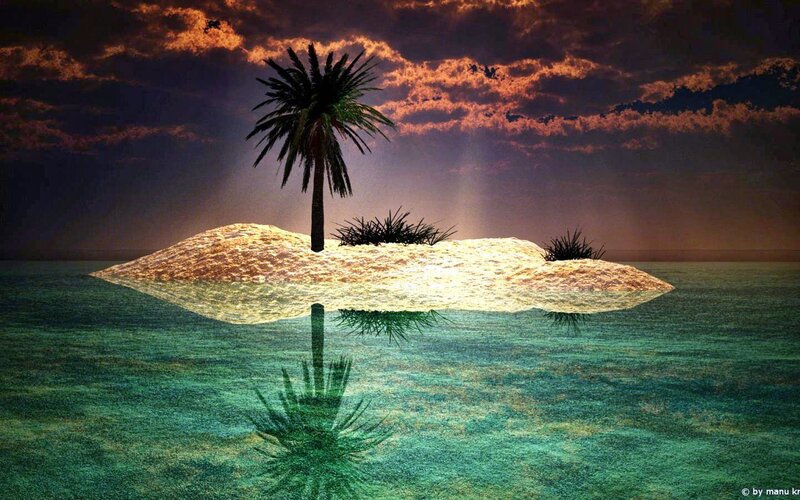 Island with Palm Tree