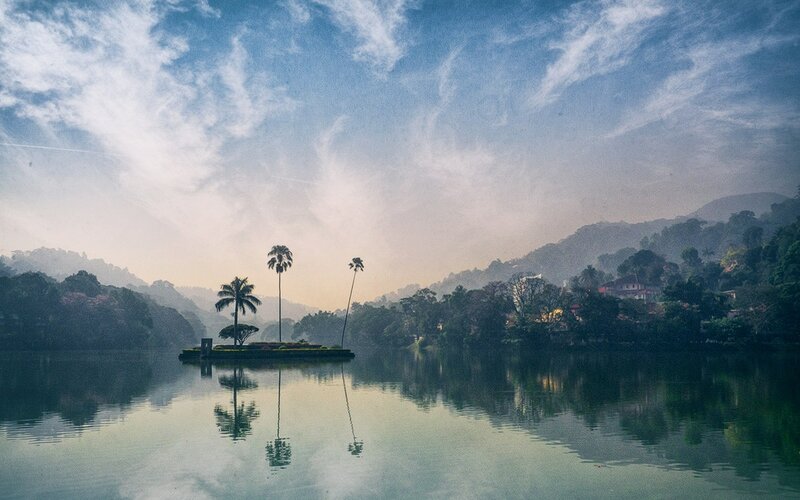 Island with Palm Trees — Blue, Serene, Morning