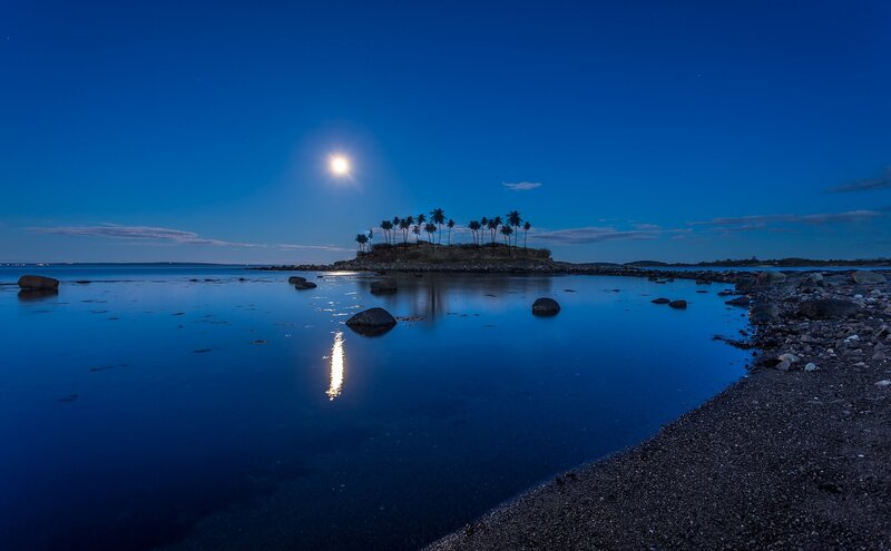 Island with Palm Trees — Blue, Serene, Night