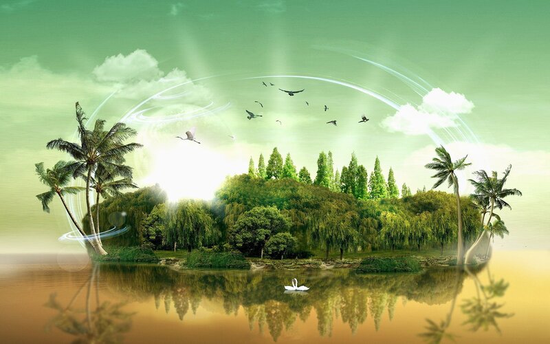 Island with Palm Trees — Green