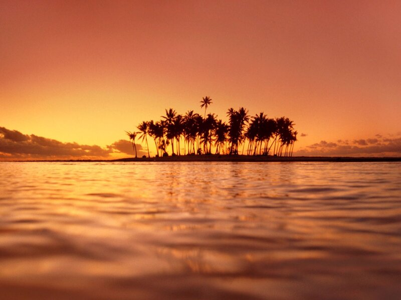 Island with Palm Trees — Orange, Serene