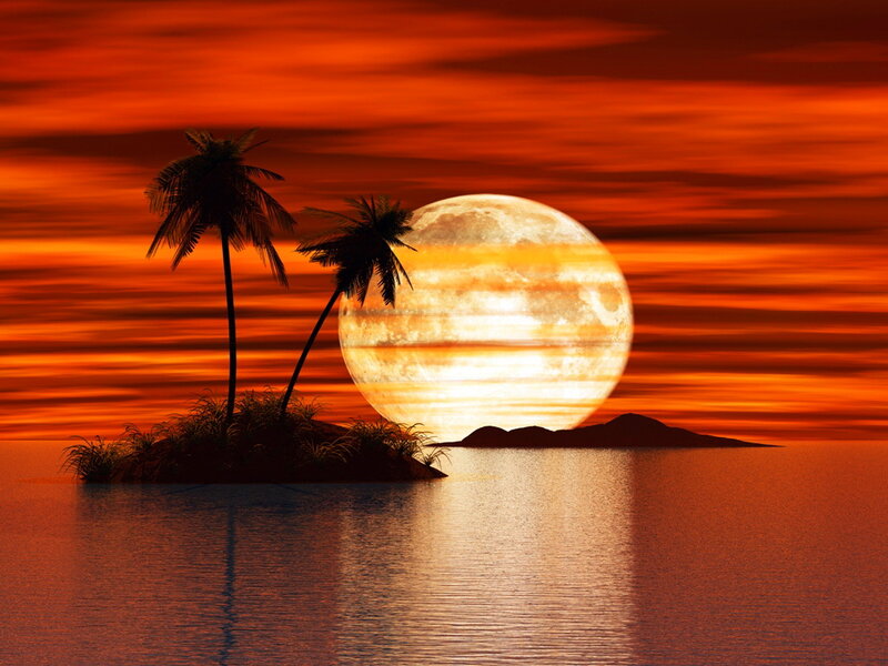 Island with Palm Trees — Orange