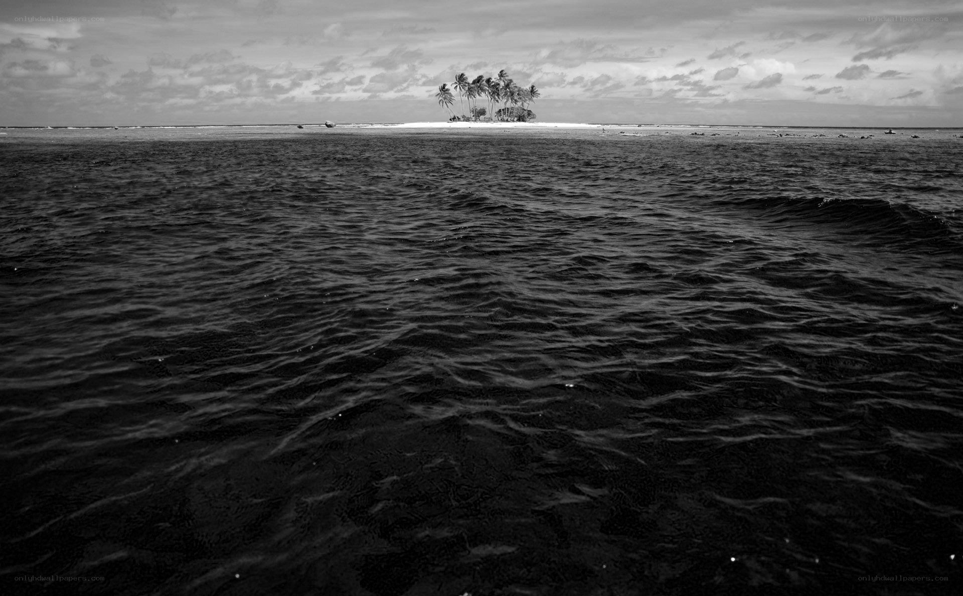 Island with palm trees