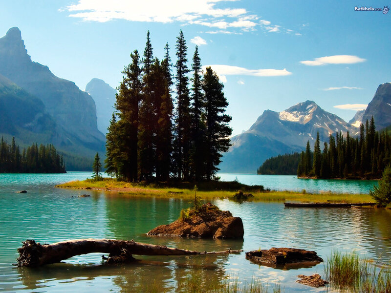Island with Pine Trees — Blue, Serene