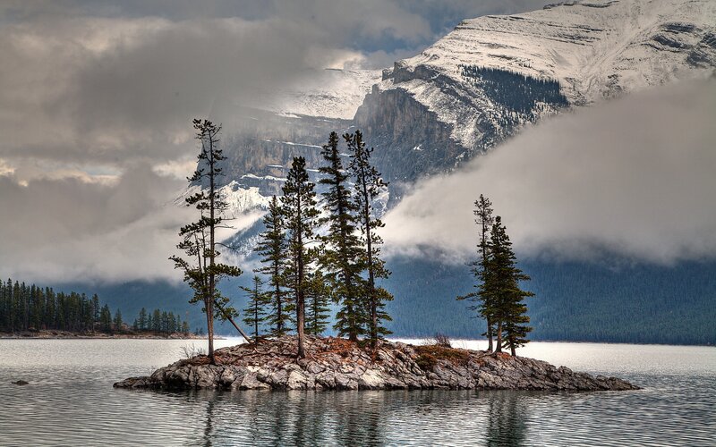 Island with Pine Trees — Gray