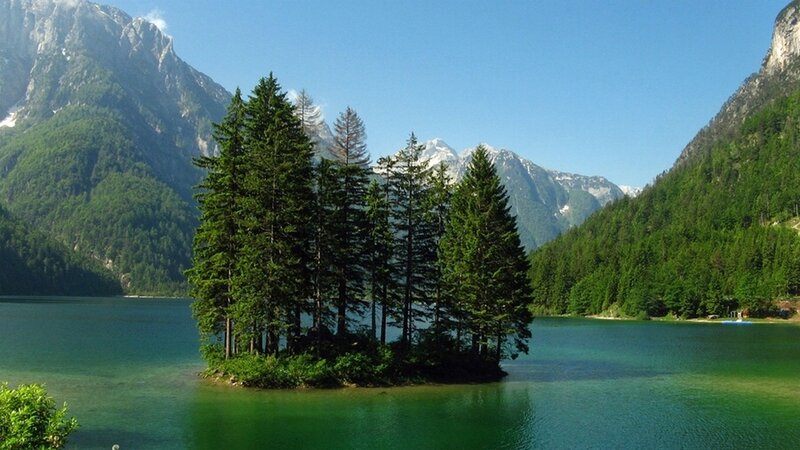 Island with Pine Trees — Green, Serene, Afternoon