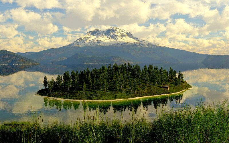 Island with Pine Trees — Green, Serene