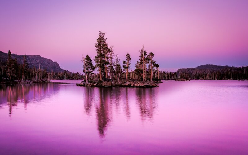 Island with Pine Trees — Purple