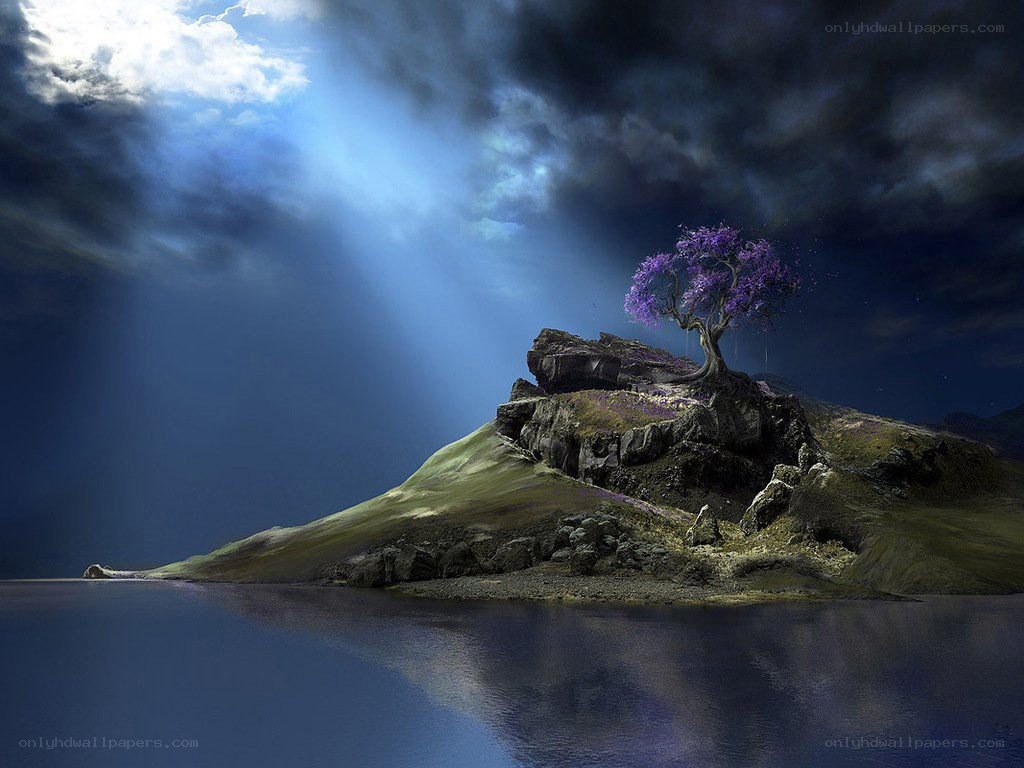 Island with purple tree