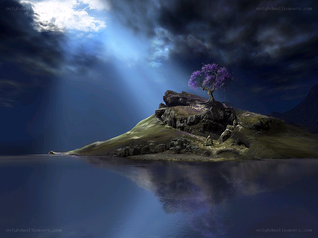 Island with purple tree