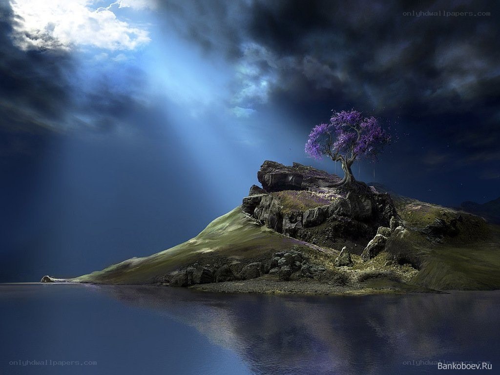 Island with purple tree