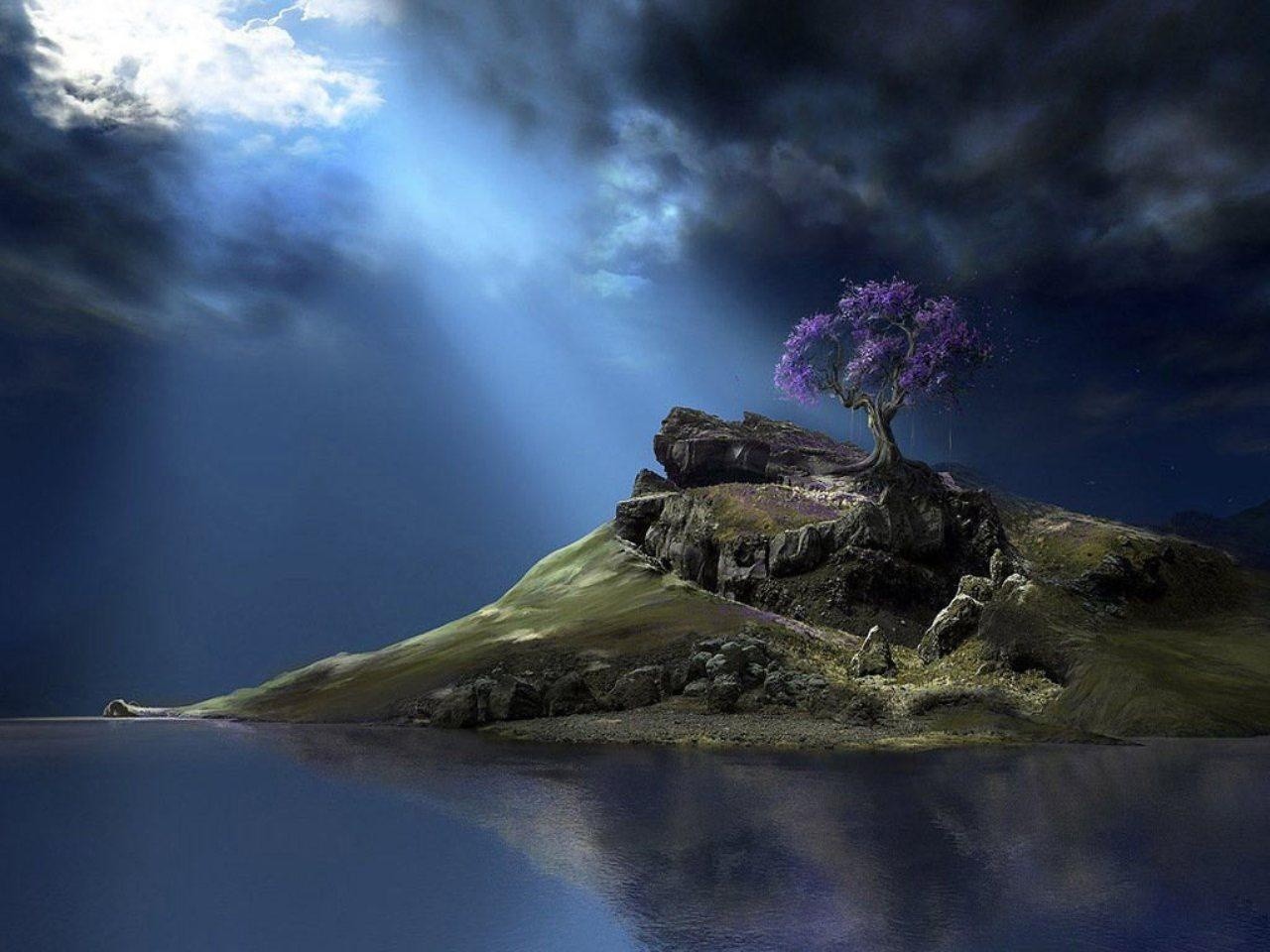 Island with purple tree