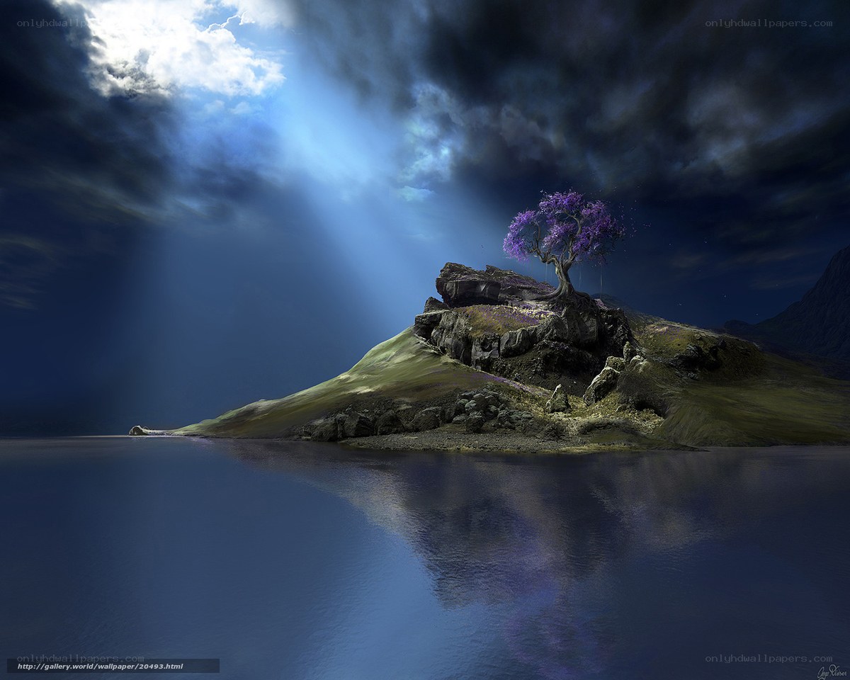 Island with purple tree