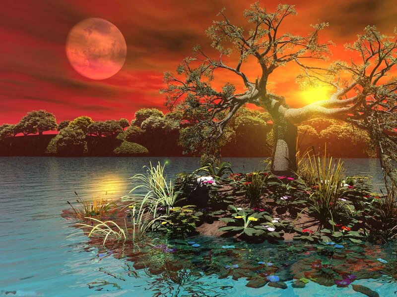 Island with Tree and Flowers