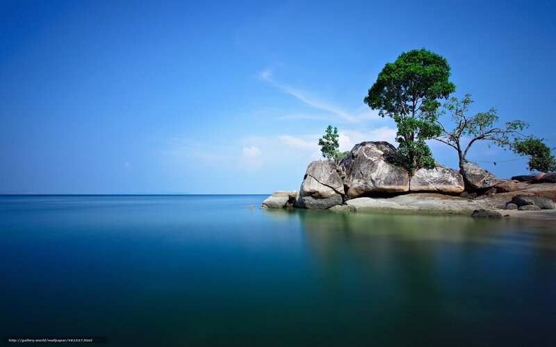 Island with tree and rocks