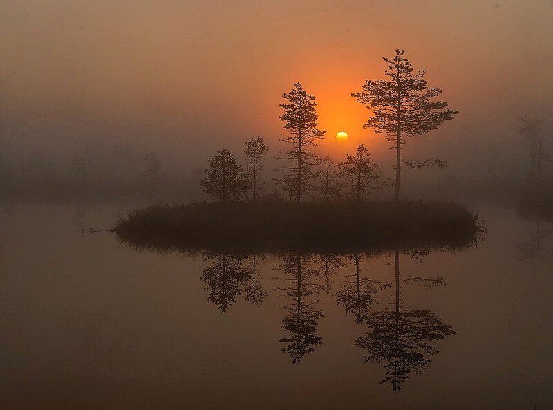 Island with Trees at Sunrise — Orange