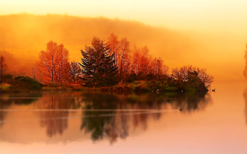 Island with Trees at Sunrise