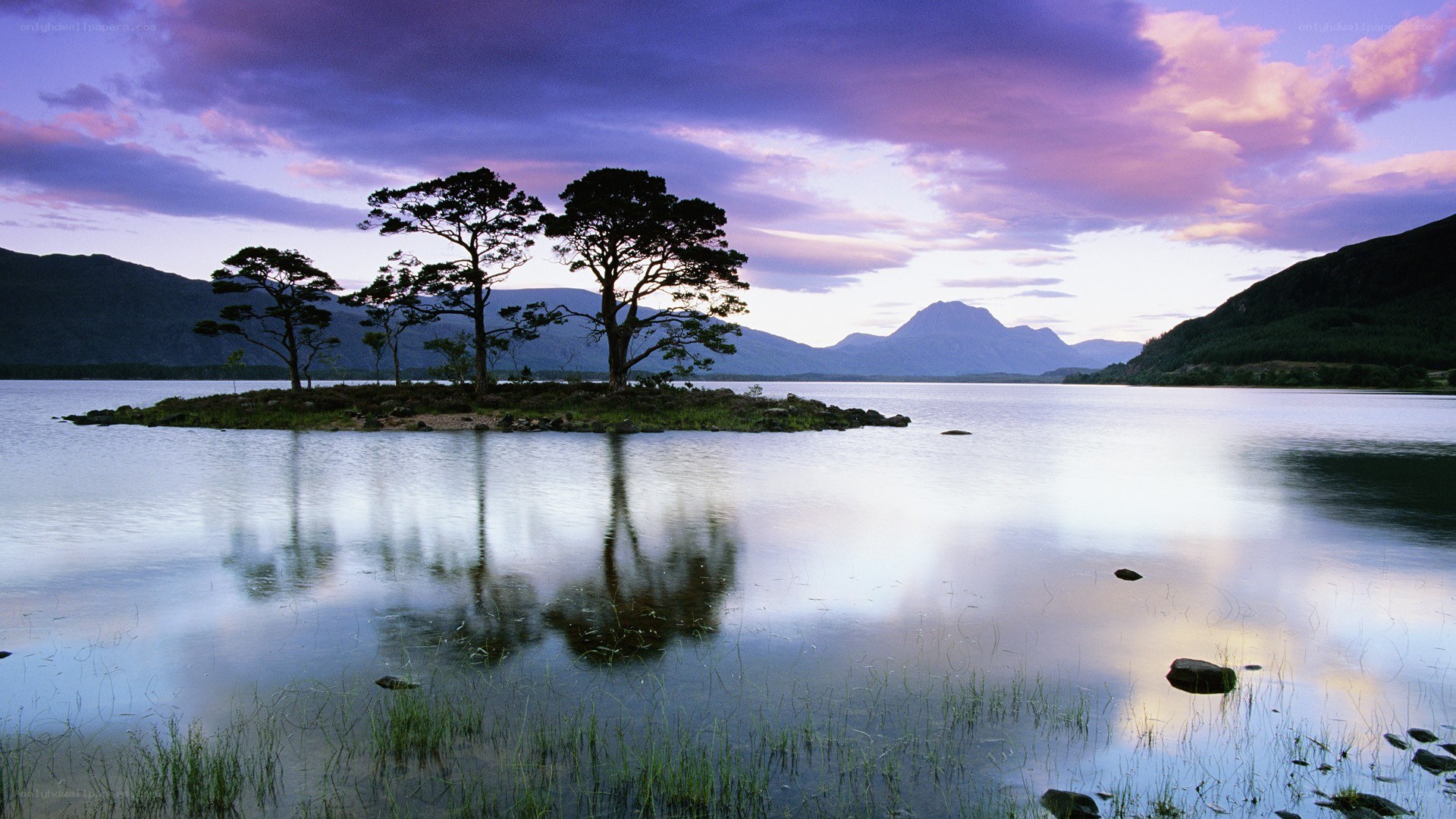 Island with trees at sunset