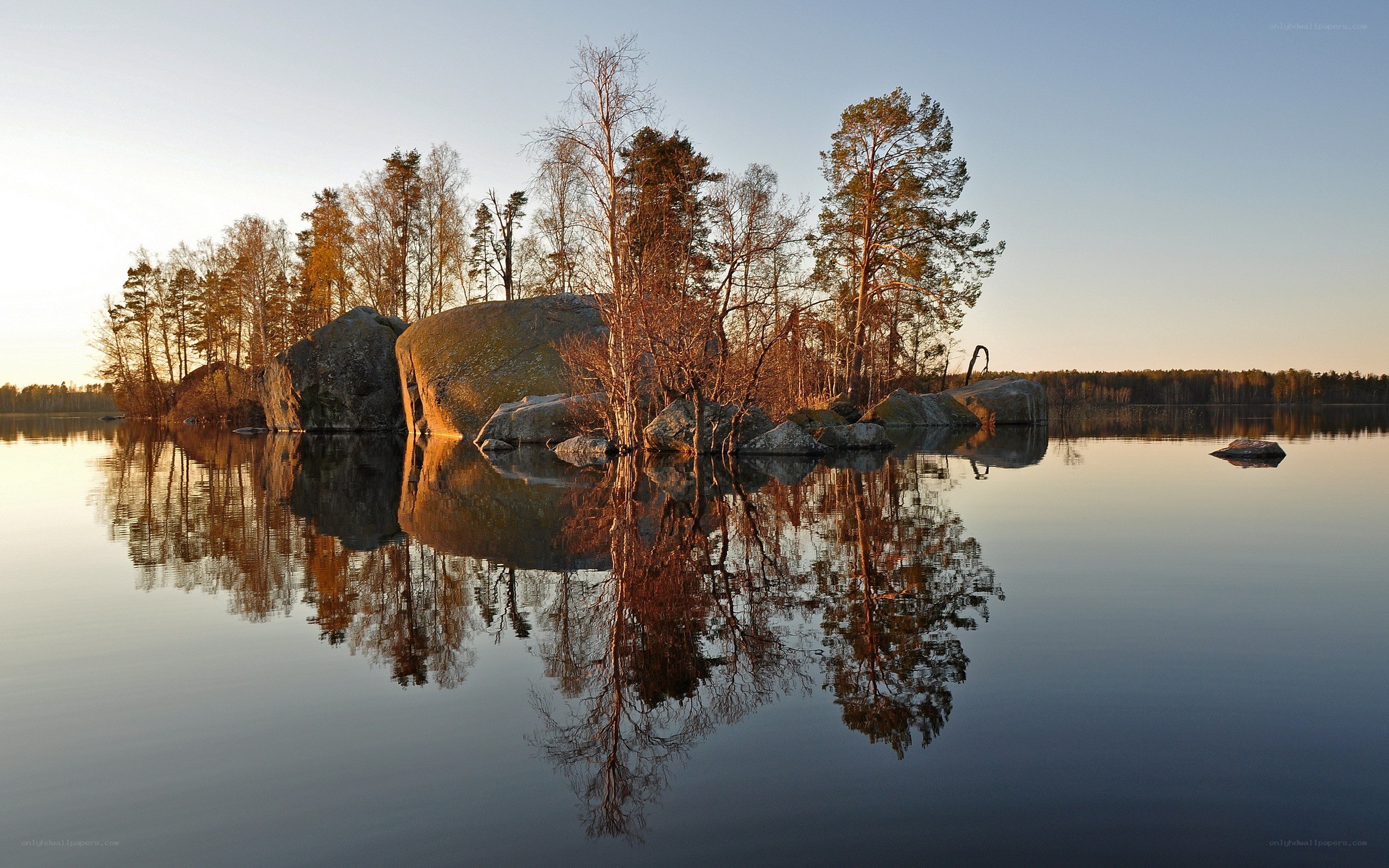 Island with trees at sunset