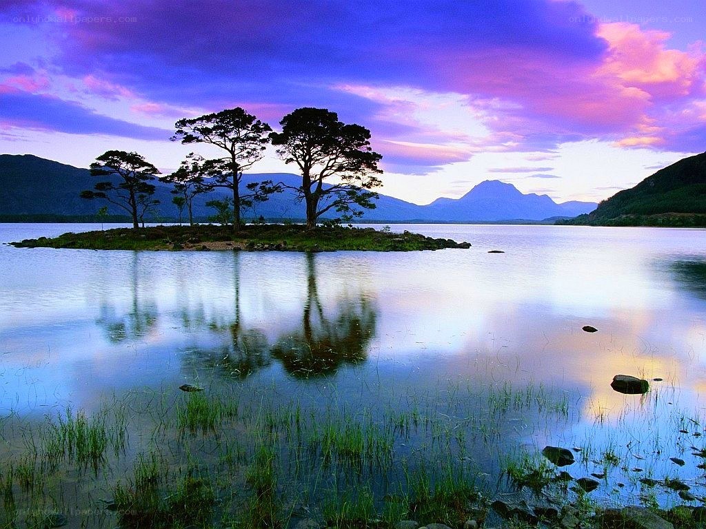 Island with trees at sunset