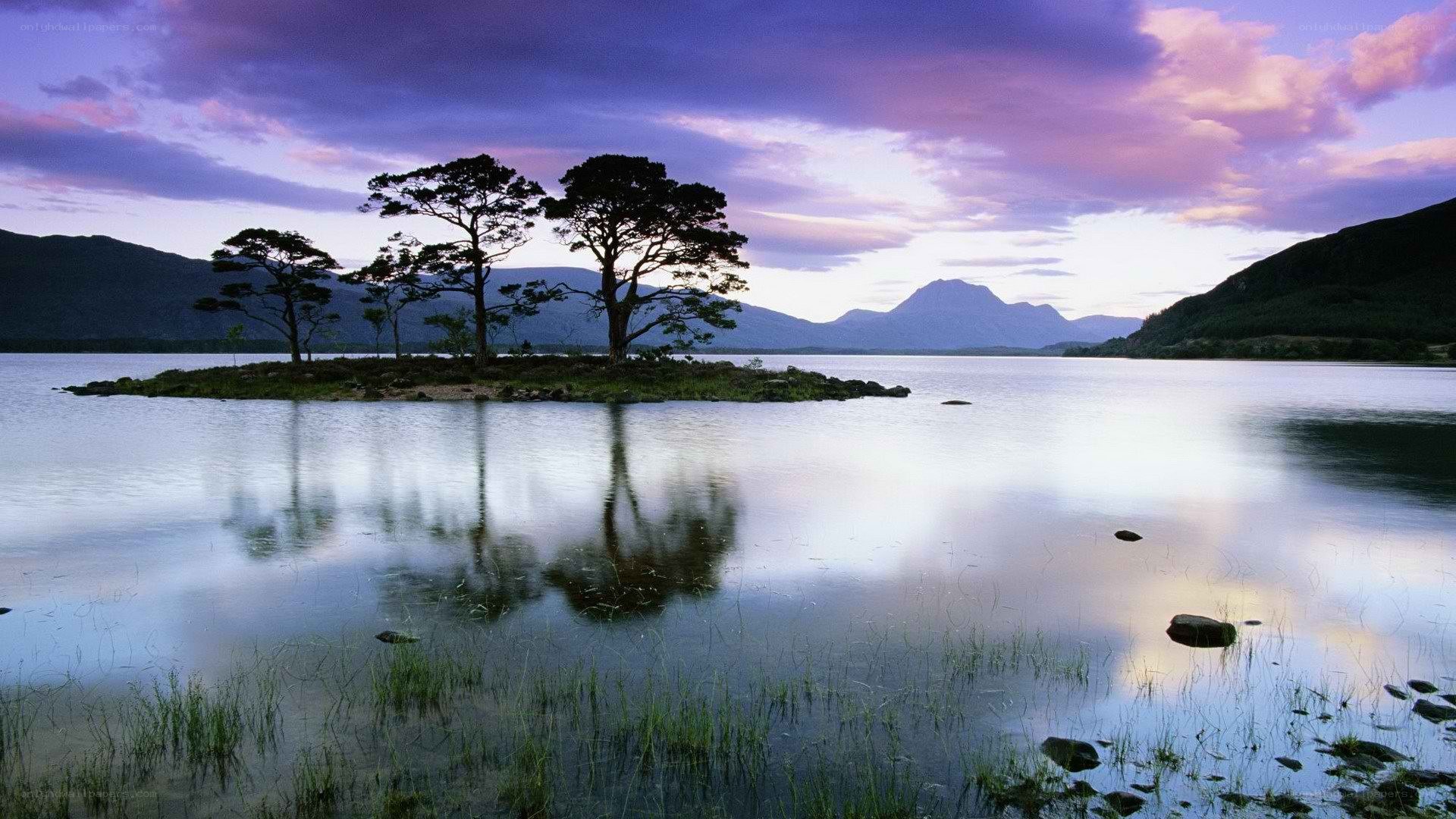 Island with trees at sunset