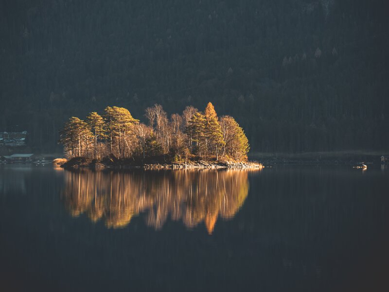 Island with Trees — Green