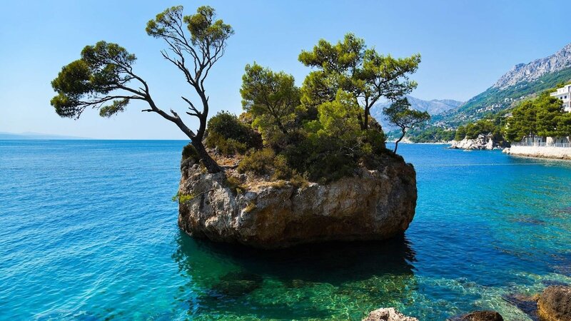 Island with trees in blue sea