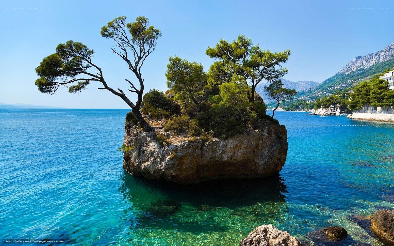 Island with trees in blue sea