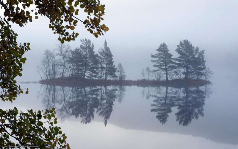 Island with Trees in Fog — Gray