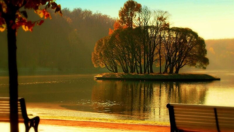 Island with Trees in Lake — Gold