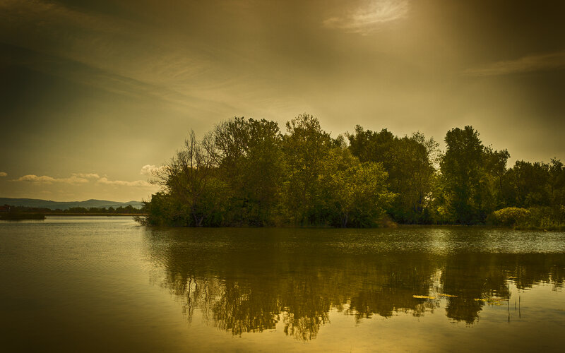 Island with Trees in Lake — Green, Serene, Sunset
