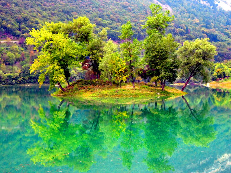 Island with Trees in Lake — Green, Serene