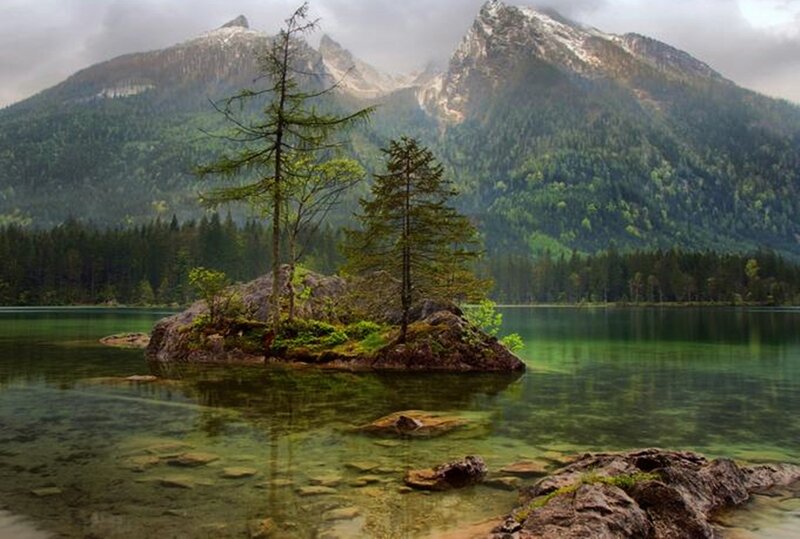 Island with Trees in Lake — Green