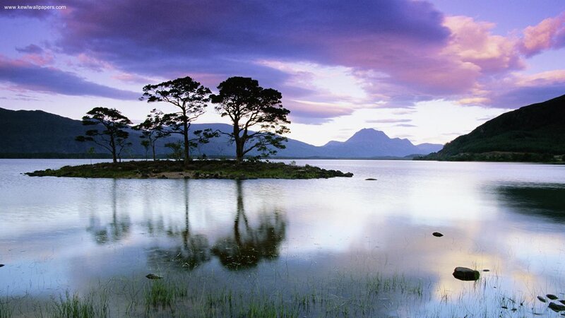 Island with Trees in Lake