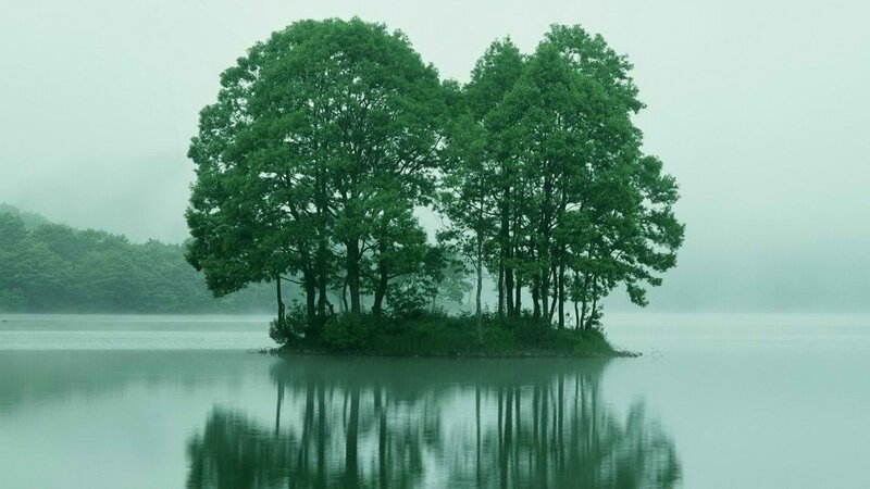 Island with trees in mist