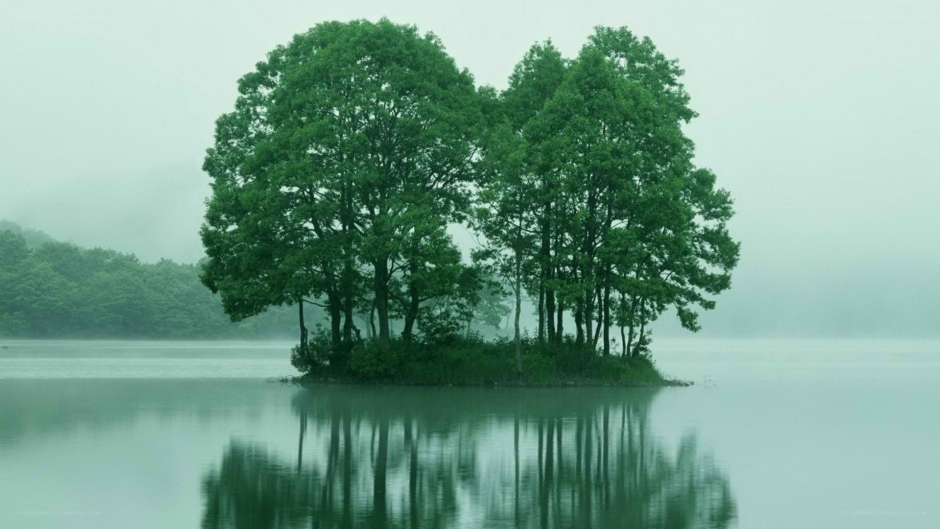 Island with trees in mist