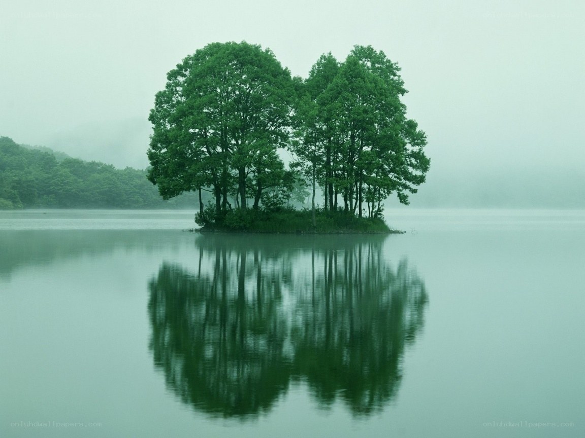 Island with trees in mist